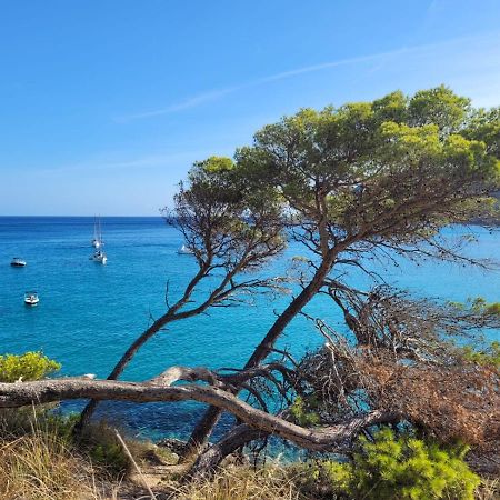 Apartment 4B Formentor Sea View & Pool In Canamel Canyamel (Mallorca) Exterior foto